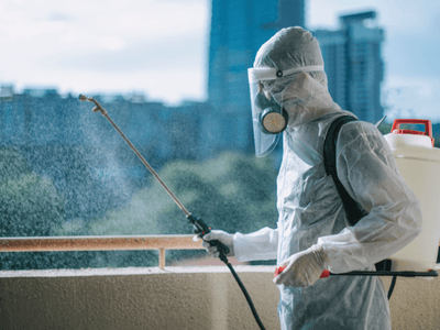 About PEST DOCTORS FL - pest control service experts in Boca Raton