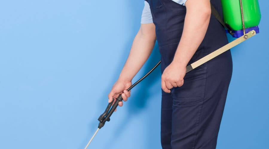 Why choose PEST DOCTORS FL for pest control service in Boca Raton